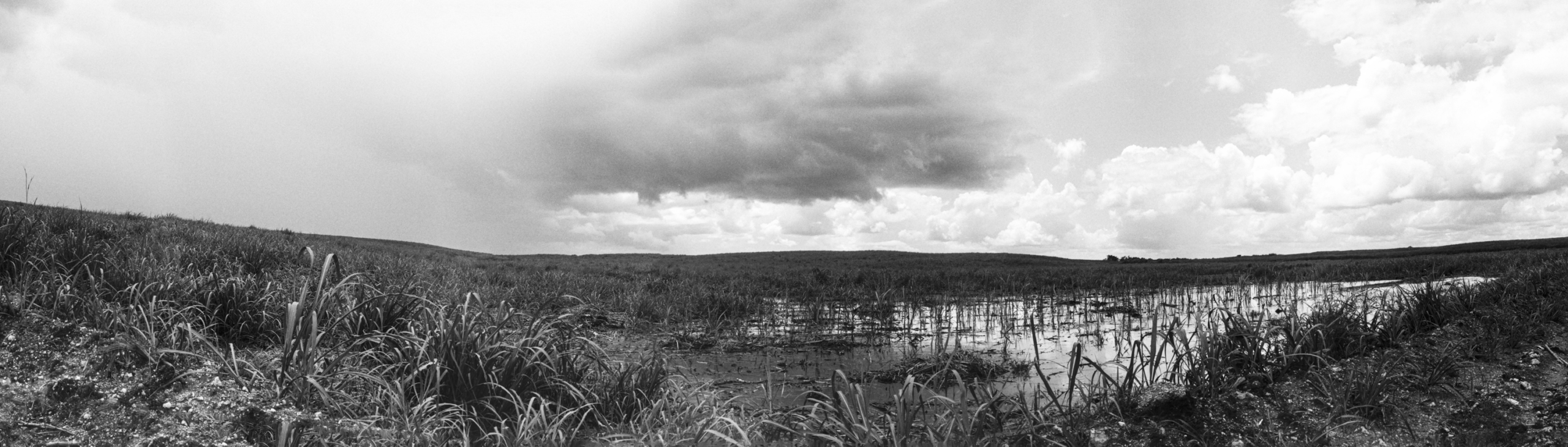 Ricardo Arispe. El paisaje del batey 02