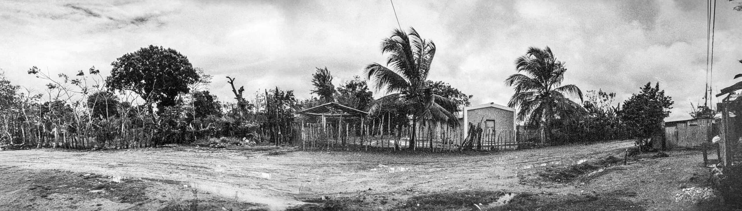 Ricardo Arispe. El paisaje del batey 03