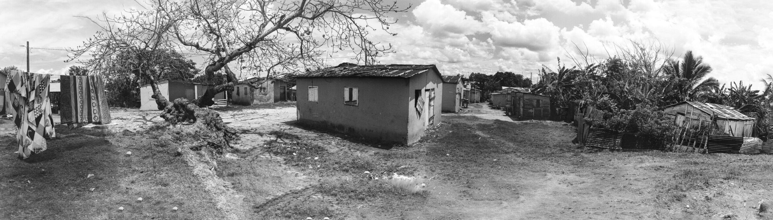 Ricardo Arispe. El paisaje del batey 07