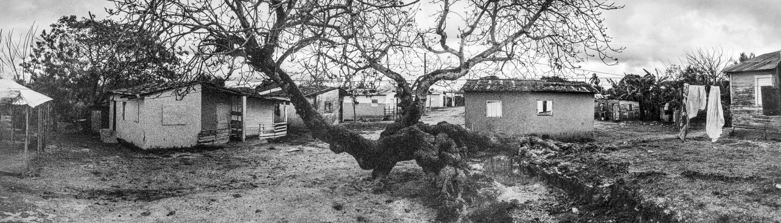 Ricardo Arispe. El paisaje del batey 11