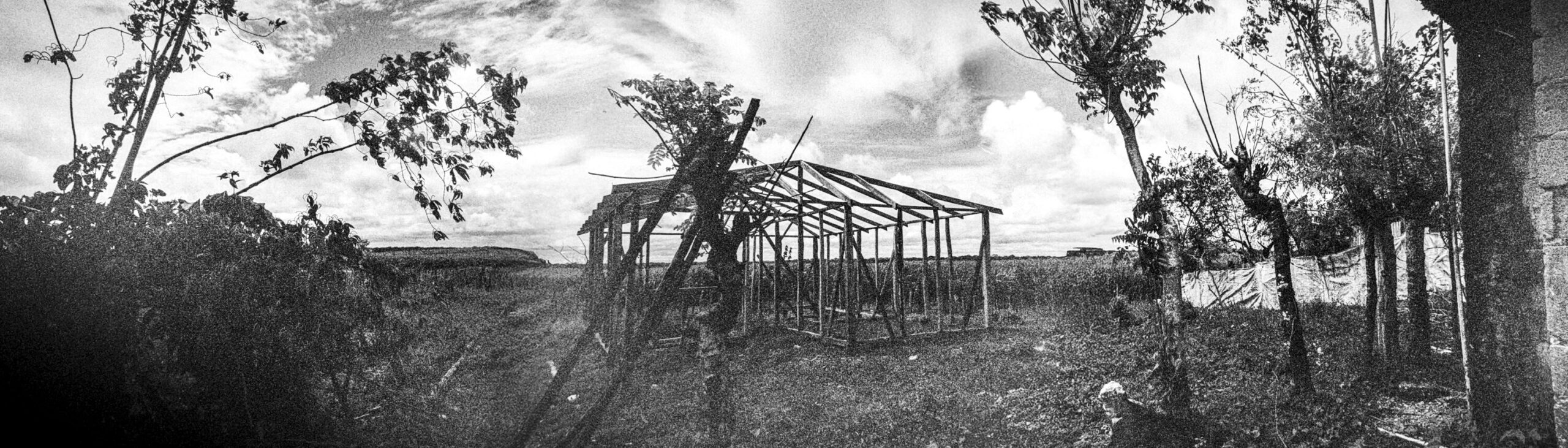 Ricardo Arispe. El paisaje del batey 08